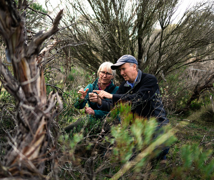 Warning after Aussie's common discovery at base of tree: 'Stay away