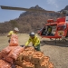 NPWS staff preparing to load carrots into a helicopter for dropping to wildlife