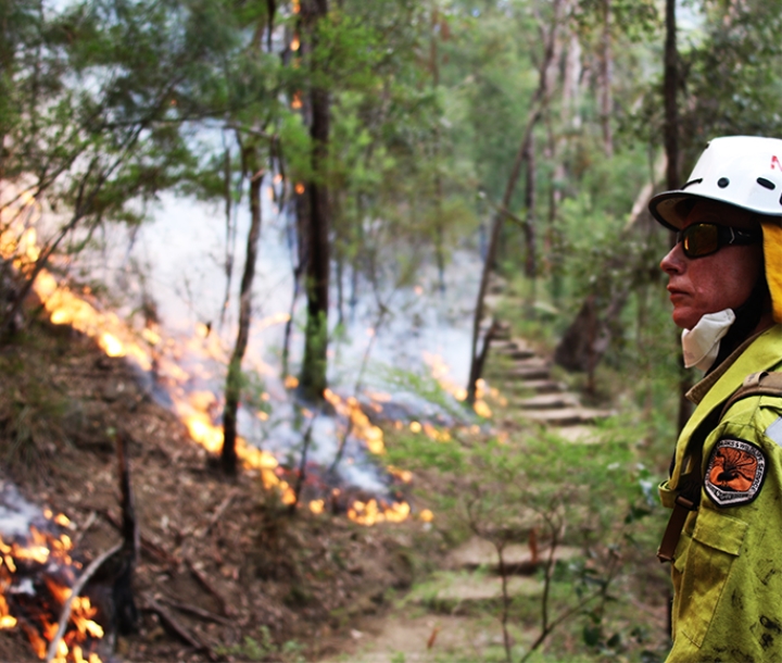 Staff from Metro South West and Blue Mountains regions undertaking the Pisgah Ridge hazard reduction burn near Glenbrook, Blue Mountains National Park