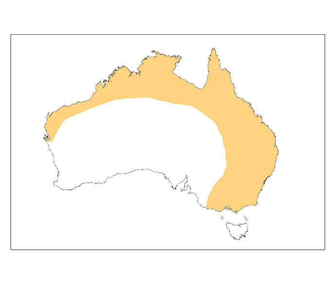 Where Do Flying Foxes Live In Australia