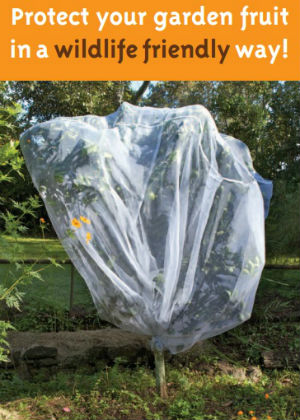 Protect your garden fruit in a wildlife friendly way publication cover