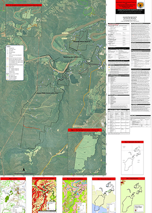 Bamarang and Wogamia Nature Reserves and Colymea State Conservation Area Fire Management Strategy