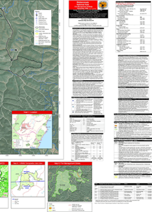 Bimberamala National Park Fire Management Strategy