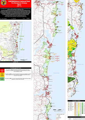 Eurobodalla National Park Fire Management Strategy