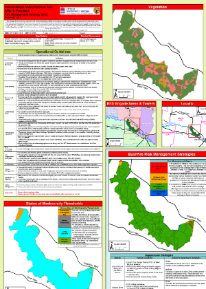 Murrumbidgee Valley National Park (MIA 1 Precinct) Fire Management Strategy