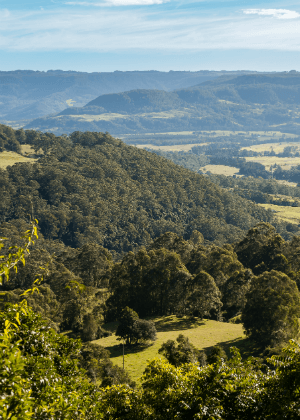 Kangaroo Valley Group Nature Reserves Plan of Management cover
