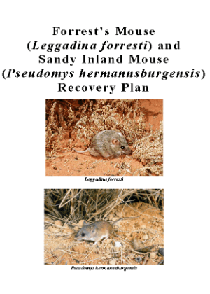 Forrest’s Mouse (Leggadina forresti) and Sandy Inland Mouse (Pseudomys hermannsburgensis) Recovery Plan cover.