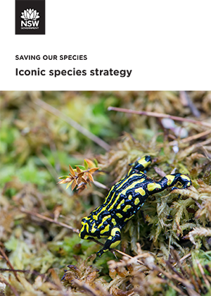 Iconic species strategy
