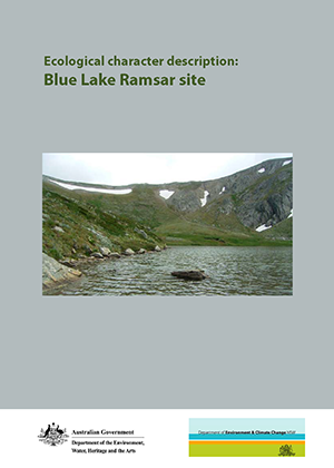 Ecological character description: Blue Lake Ramsar site cover