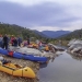 Volunteers paddle their canoes and kayaks to site infested with weeds, Kosciuszko National Park. Bush regeneration.