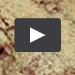 Video play icon 