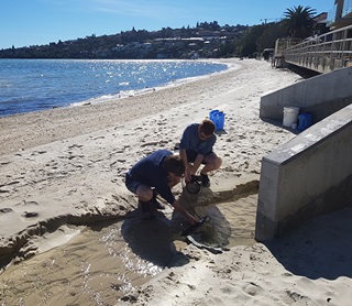 Scientists sampling water at Rose Bay Beach