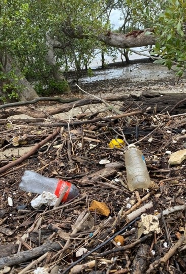 Key Littered Items Study | NSW Environment and Heritage