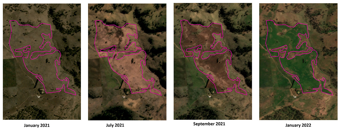 Monitoring of non-woody vegetation change in NSW