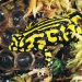 Southern corroboree frog (Pseudophryne corroboree)
