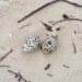 Two speckled pied oystercatcher eggs on sand at Harrington Beach