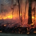 Fire flames and sparks woodland blackened tree trunks Brindabella hazard reduction burn