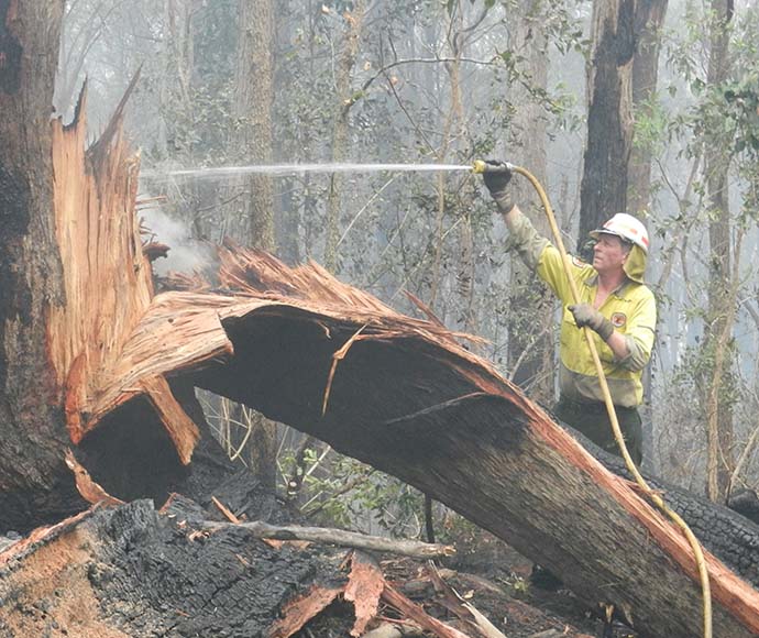 Hazard Reduction Burn In Maryland National Park | The National Tribune