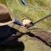 OEH staff collecting field data above Black Lake, Bibbenluke, NSW