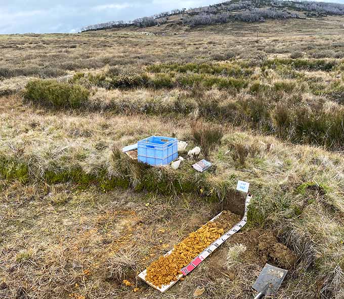Outdoor scientific experiment setup in a grassland area with a storage box and measurement equipment