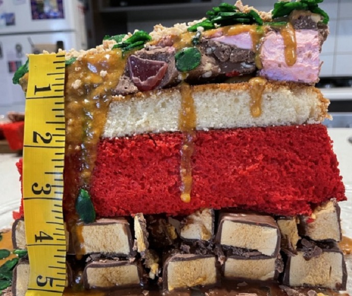 Cake that looks like a red chromosol
