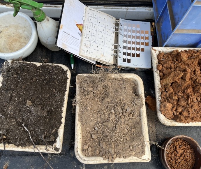 Trays of different soils and reference materials ready to be described and classified
