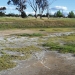 Urban salinity can make land unsuitable for housing and industrial development.
