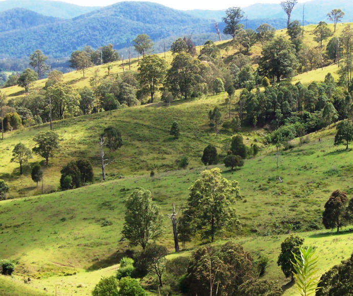 A new soil landscape map for the Mid North Coast | NSW Environment and ...