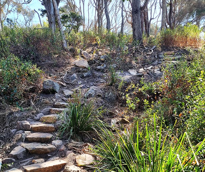 Steps leading up a hill