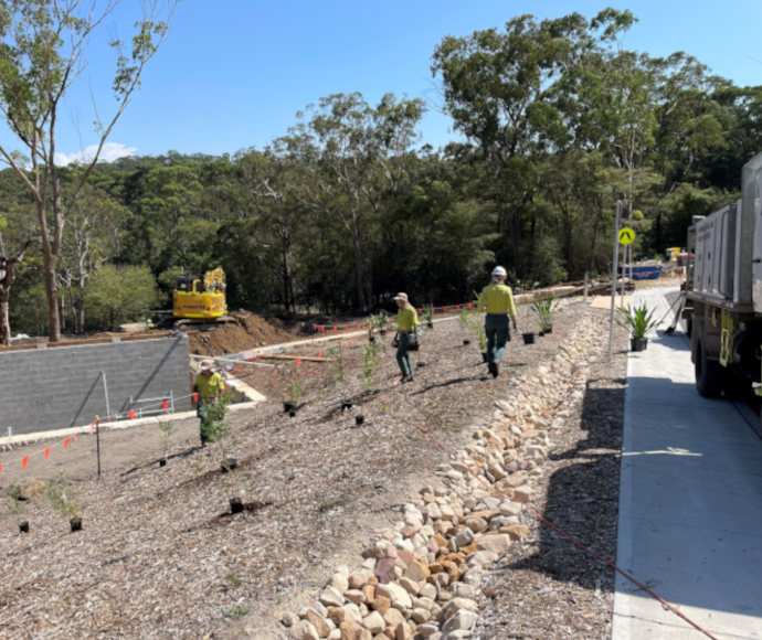 A cleared area in the foreground with workers in fluorescent shirts and potted plants in various states of being planted; eucalyptus forest at the edge of the cleared area in the background