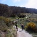 Bike riders and walkers on Thredbo Valley Track, Kosciuszko National Park