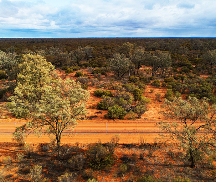 Aerial view of the conservation fence at Mallee Cliffs in 2020