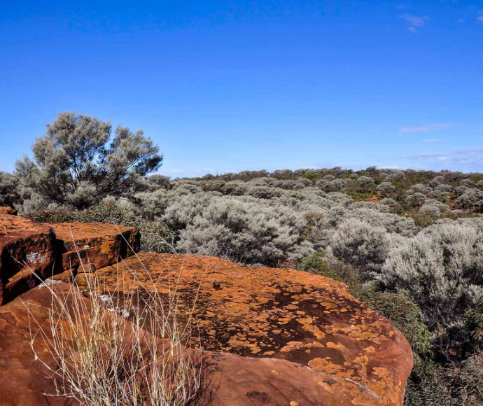 Aboriginal park partnerships | NSW Environment and Heritage