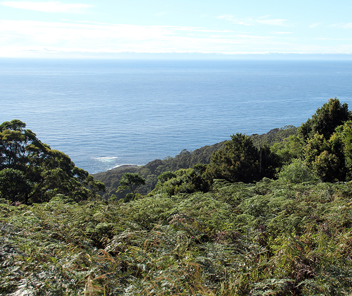 A step up for Maloneys Beach | NSW Environment and Heritage