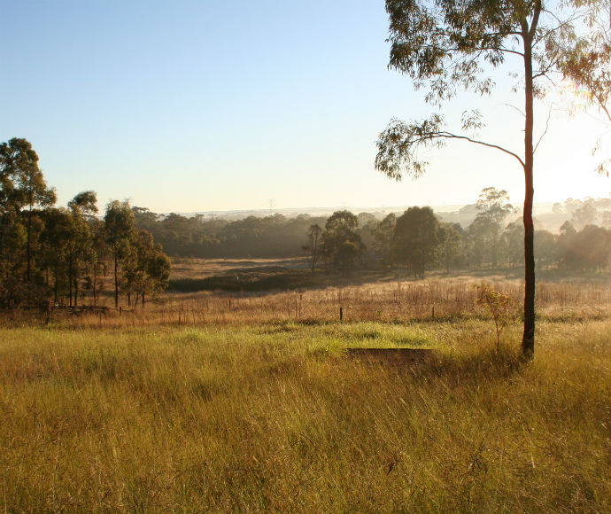 Scheyville National Park Camp Precinct, Cumberland Plain Woodland