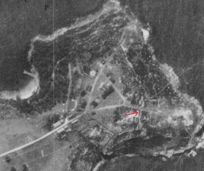 A black-and-white aerial photograph of a headland, showing a contrast of treed areas, cleared areas and various bare lines in the terrain