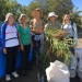 Bush regeneration volunteers at North Head with their removed weeds, including Paspalum, Solanum nigrum (‘blackberry’), Phytolacca octandra (‘inkweed’), Ageratum houstonianum (‘blue billy goat weed’) and an exotic  Sonchus species (‘sowthistle’).