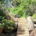 Sunlight hitting a roomy, rough-hewn sandstone staircase leading uphill through boulders and vivid green brush