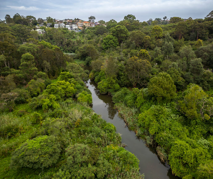 Wolli Creek Regional Park Officially Expands After 20 Years | Mirage News