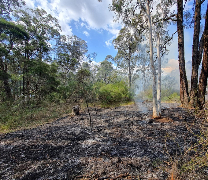 Update May 2024 | NSW Environment and Heritage