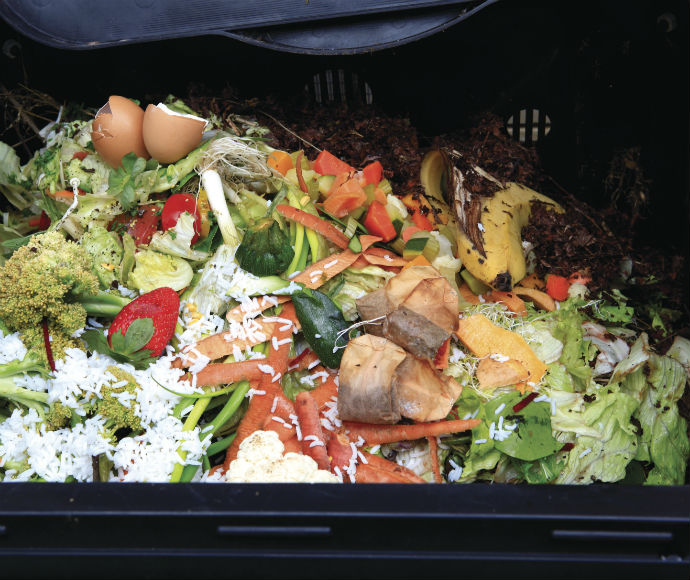 Household food waste, recycling, compost bin