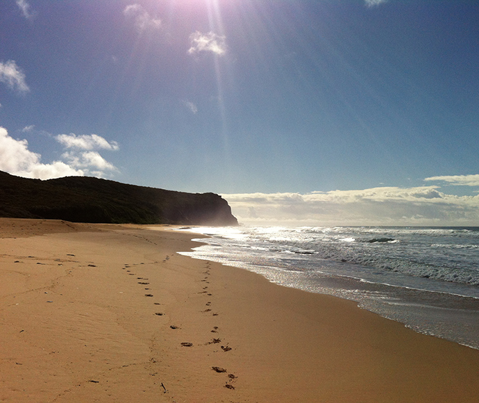 State of the beaches 2021–22: Hunter region | NSW Environment and Heritage