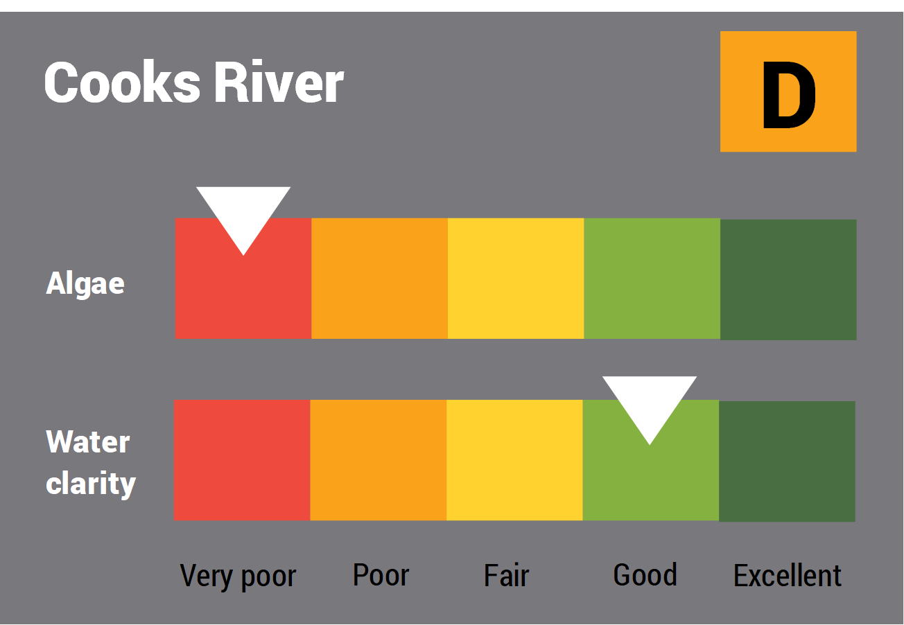 Cooks River water quality report card for algae and water clarity showing colour-coded ratings (red, orange, yellow, light green and dark green, which represent very poor, poor, fair, good and excellent, respectively). Algae is rated 'very poor' and water clarity is rated 'good' giving an overall rating of 'poor' or 'D'.