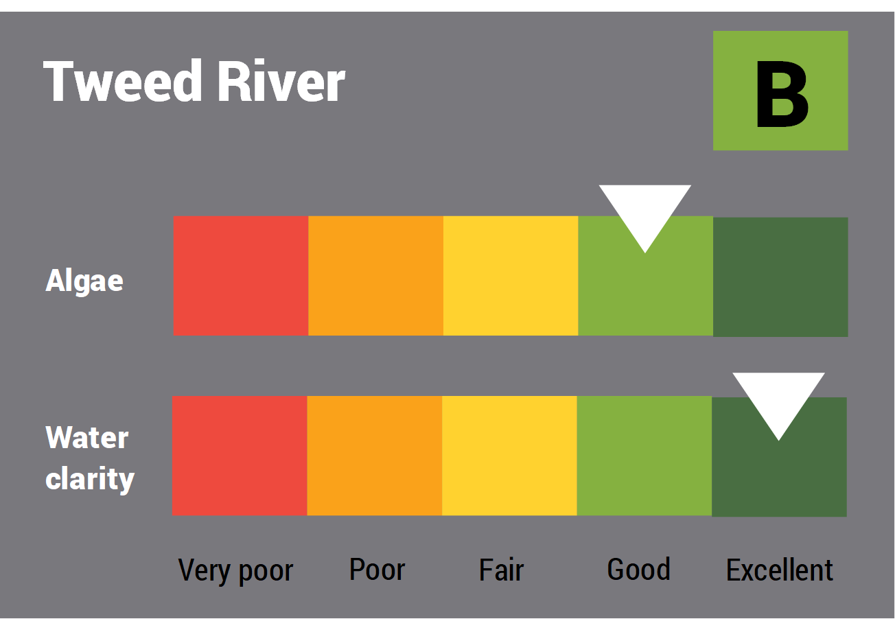 Tweed River water quality report card for algae and water clarity showing colour-coded ratings (red, orange, yellow, light green and dark green, which represent very poor, poor, fair, good and excellent, respectively). Algae is rated 'good' and water clarity is rated 'excellent' giving an overall rating of 'good' or 'B'.