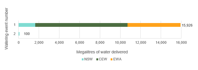 Bar chart showing water delivery to the Gwydir catchment in the 2019-20 water year.
