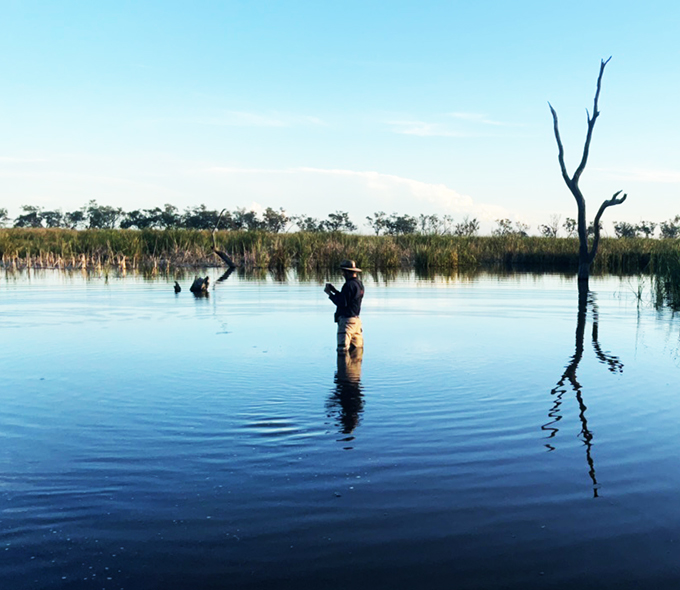 Person standing in calm water amidst nature, with the reflection of a bare tree on the water’s surface, under a clear sky
