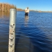 A depth logger in the Macquarie Marshes