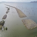 Aerial view of Lake Brewster pelican colony, January 2022.  