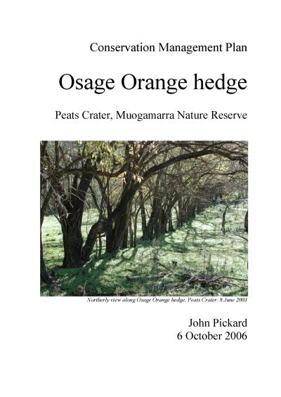 Osage Orange hedge in Peats Crater, Muogamarra Nature Reserve, Conservation Management Plan