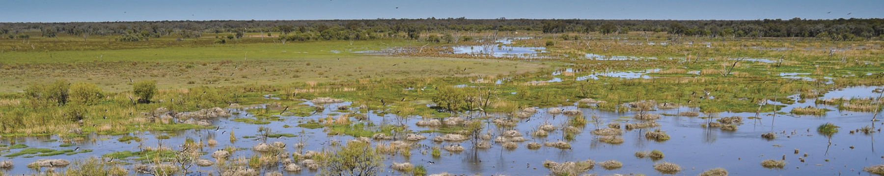 legislation-nsw-environment-heritage